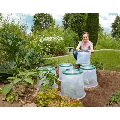 Campana de cultivo Sunny